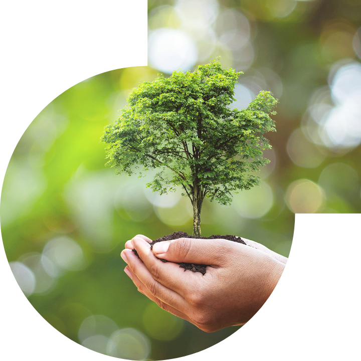 关怀人类、文化、环境与社会